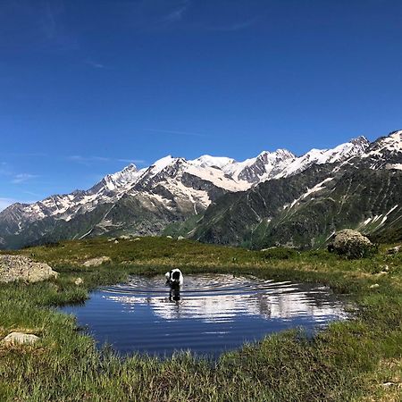 סן-ג'רבה-לה-באן Chalet Riviere Du Bon Nant Location De 6 A 14 Personnes En Haute Savoie מראה חיצוני תמונה