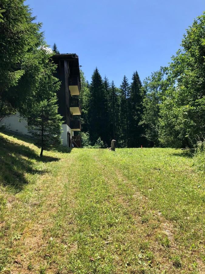 סן-ג'רבה-לה-באן Chalet Riviere Du Bon Nant Location De 6 A 14 Personnes En Haute Savoie מראה חיצוני תמונה