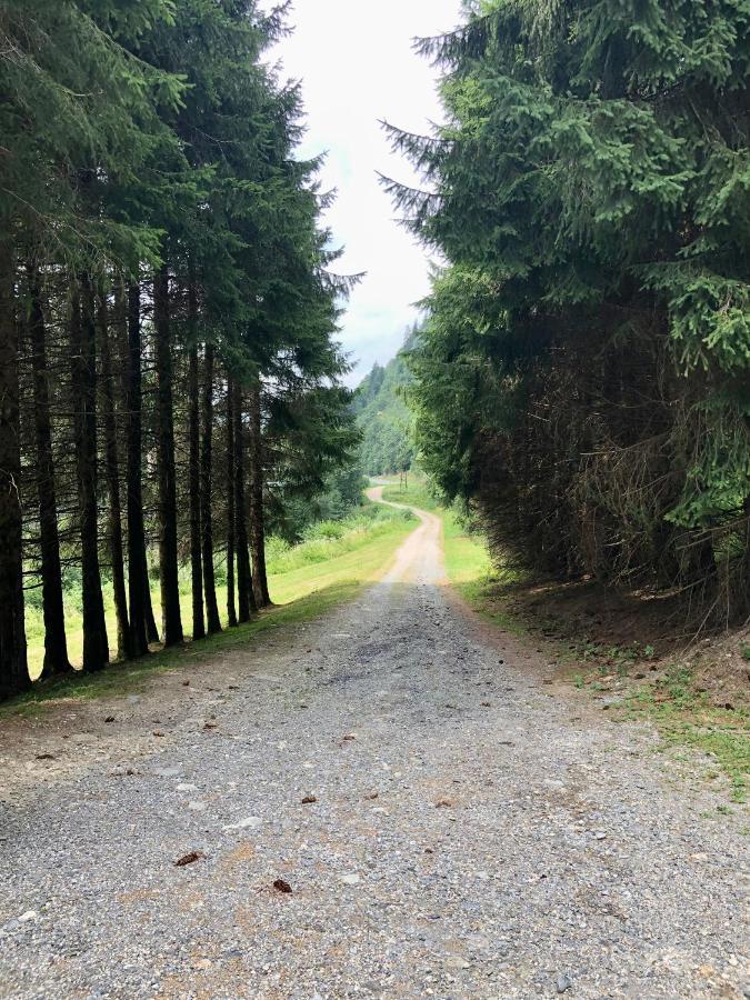 סן-ג'רבה-לה-באן Chalet Riviere Du Bon Nant Location De 6 A 14 Personnes En Haute Savoie מראה חיצוני תמונה