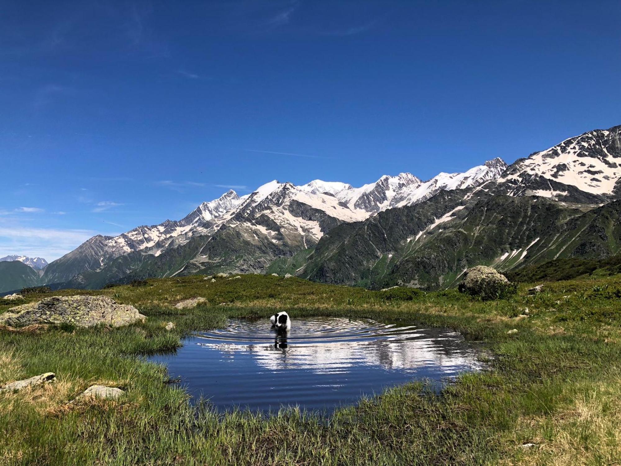 סן-ג'רבה-לה-באן Chalet Riviere Du Bon Nant Location De 6 A 14 Personnes En Haute Savoie מראה חיצוני תמונה