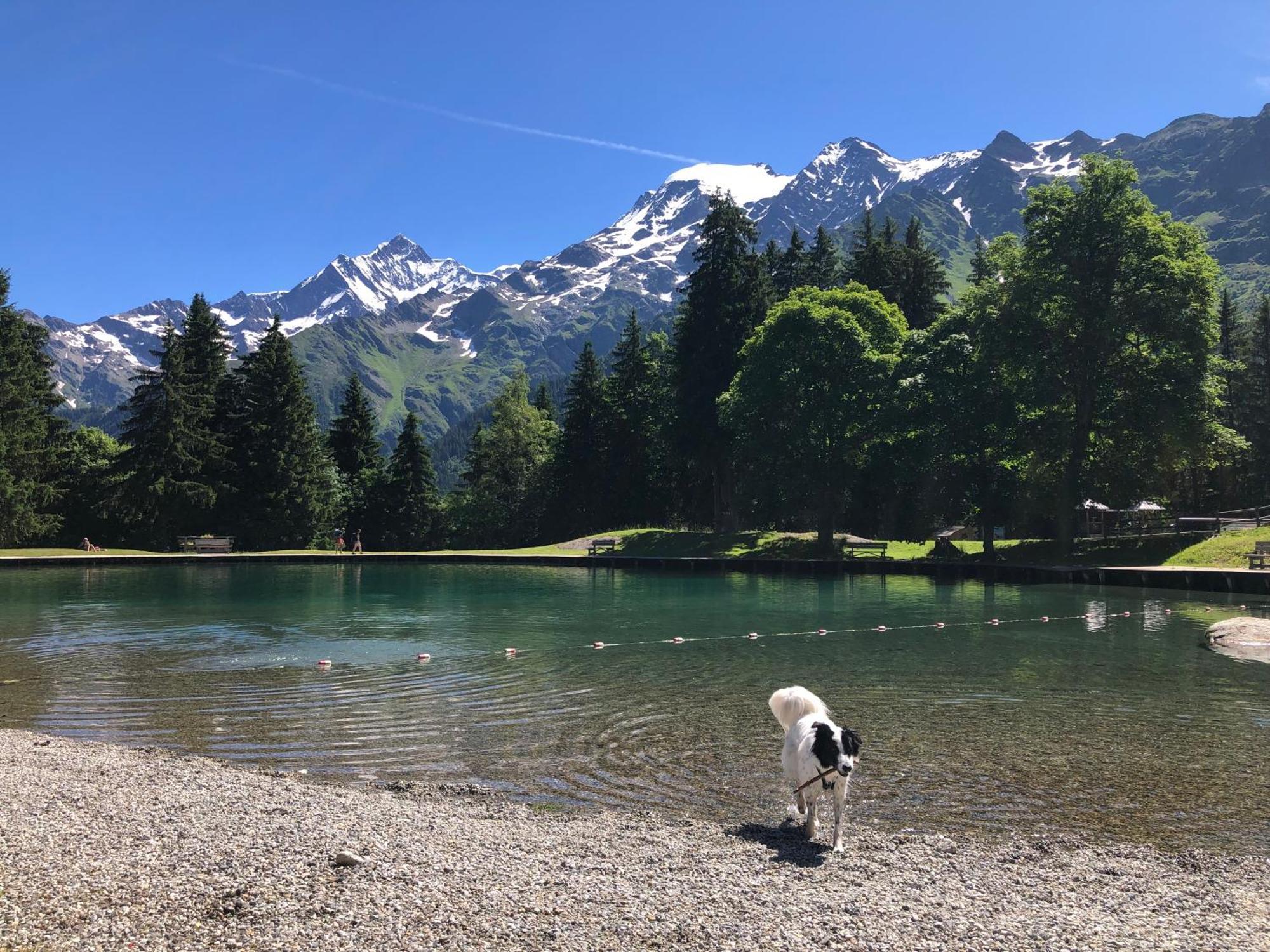 סן-ג'רבה-לה-באן Chalet Riviere Du Bon Nant Location De 6 A 14 Personnes En Haute Savoie מראה חיצוני תמונה
